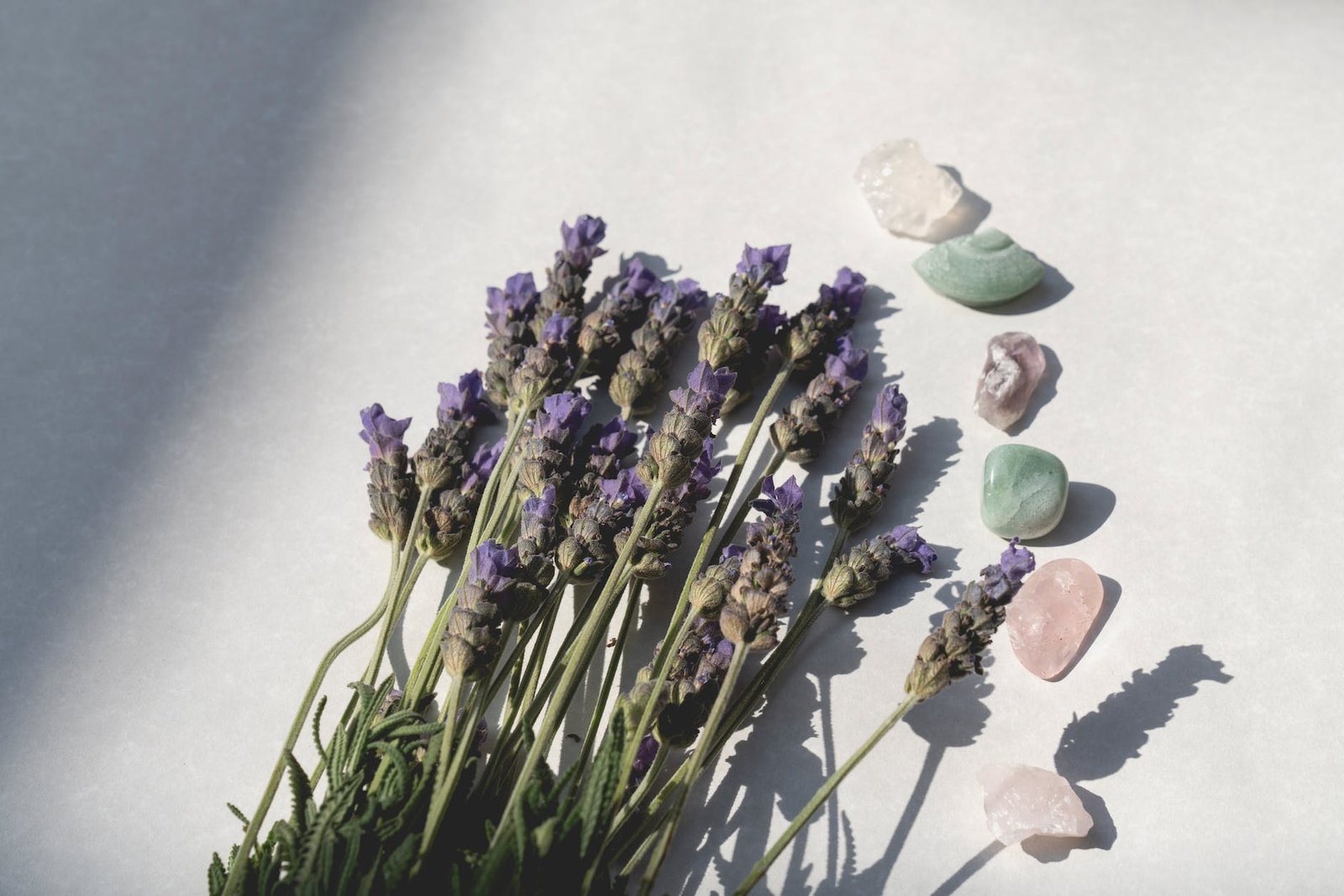 flat lay photography of gem stones with lavender flowers